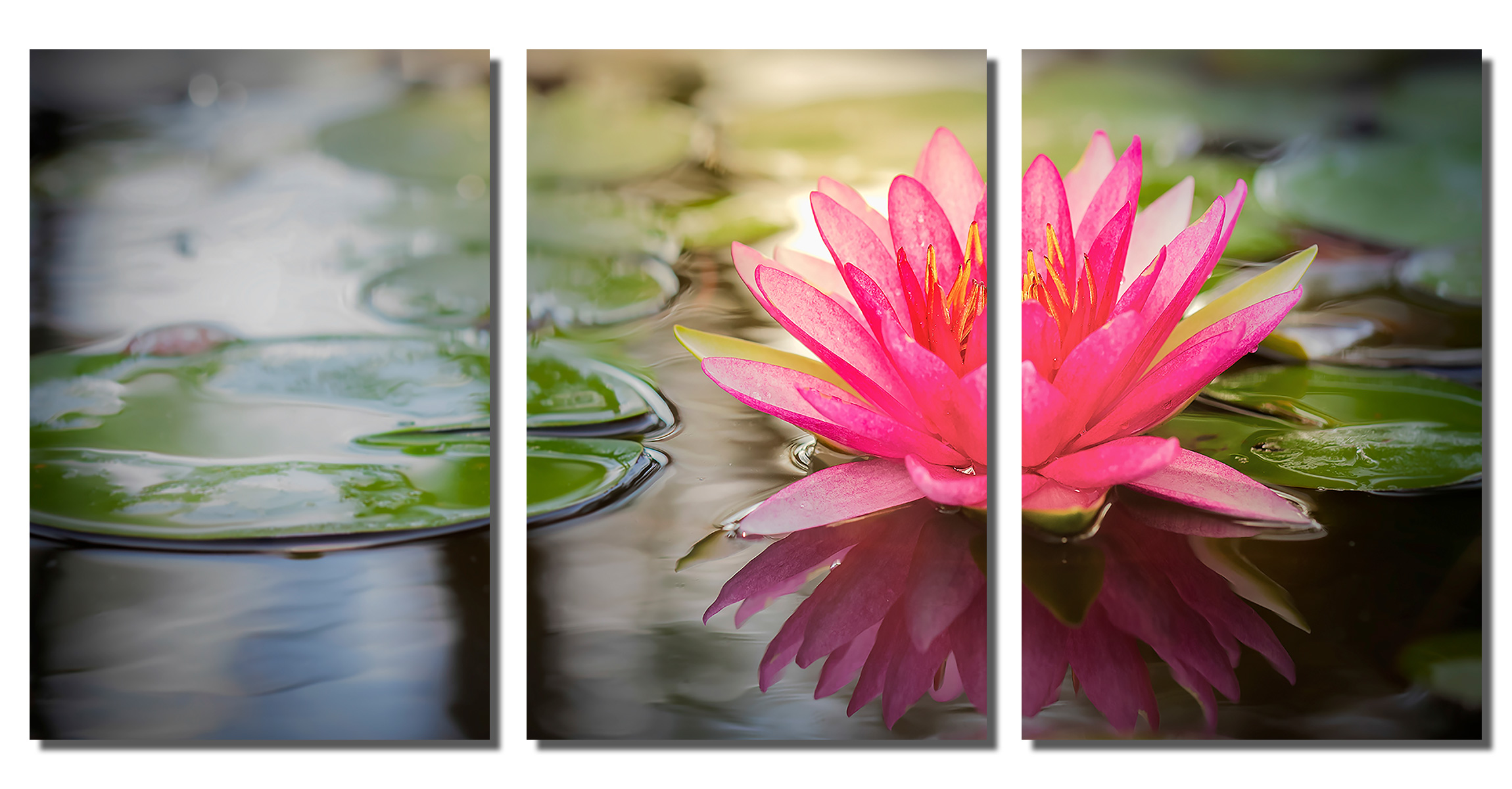 アート・デザイン・音楽 The Lotus Flower: A Textile Hidden in Pink lotus Flower Zen - Metal Print wall art. 3 Panel split
