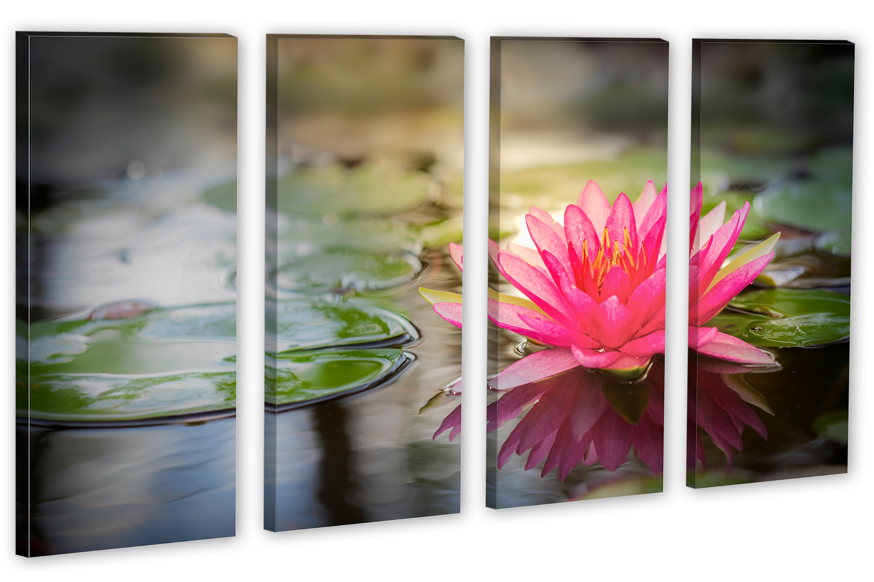 Lotus Flower Art Print