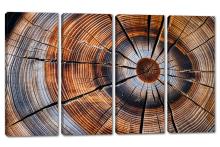 4 Panel Canvas