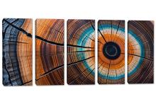 5 Panel Canvas