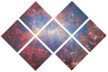 7 Panel Butterfly Canvas