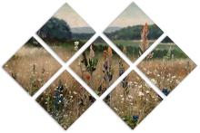 7 Panel Butterfly Canvas