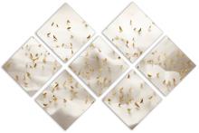 7 Panel Butterfly Canvas