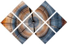 7 Panel Butterfly Canvas