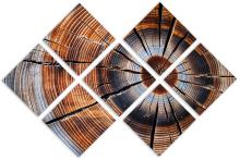 7 Panel Butterfly Canvas