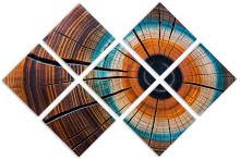 7 Panel Butterfly Canvas