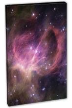 Single Panel Canvas