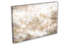 Single Panel Canvas