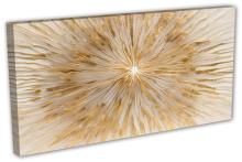 Single Panel Canvas