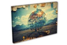 Single Panel Canvas