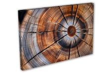 Single Panel Canvas