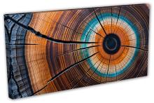 Single Panel Canvas
