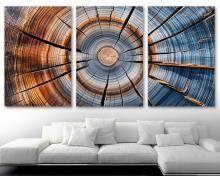 Tree Ring Wall Art Canvas Farmhouse print modern art aesthetic room decor - 3 Panel Split