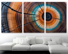 Colorful Tree Rings Canvas Wall Art Print modern farmhouse art tree slice - 3 Panel Split