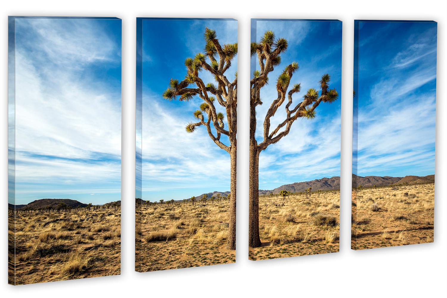 Lonely Joshua Tree Wall Art Canvas Print 4 Panel Split, Tree Decor Art