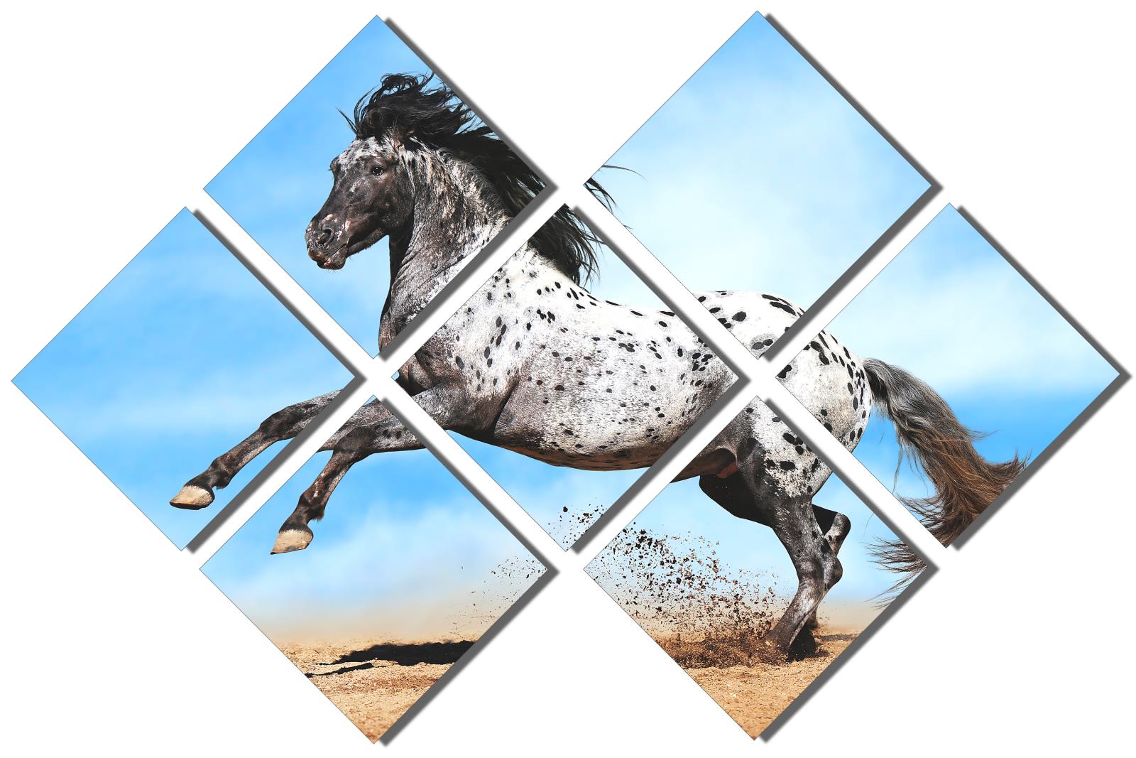 Appaloosa horse Metal Print Wall Art blue skies 7 Panel Butterfly