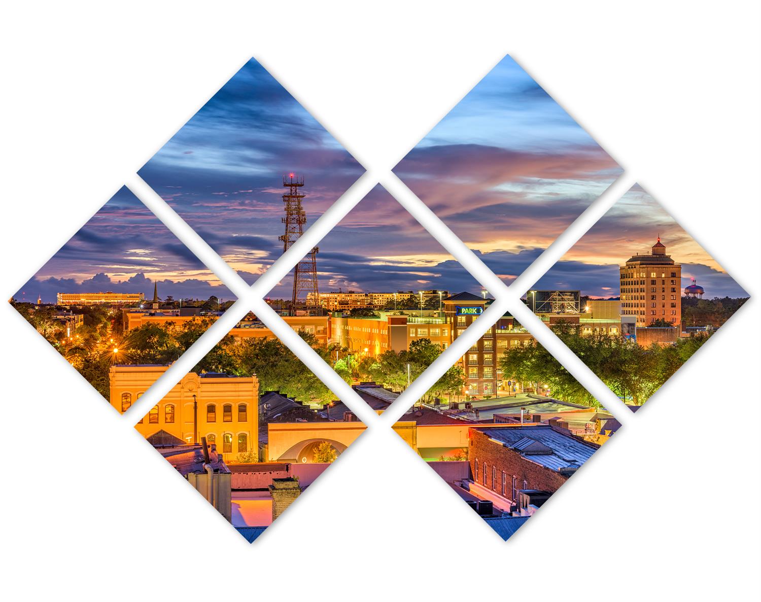 Gainesville, Florida Canvas Print Wall Art 7 Panel Butterfly Split