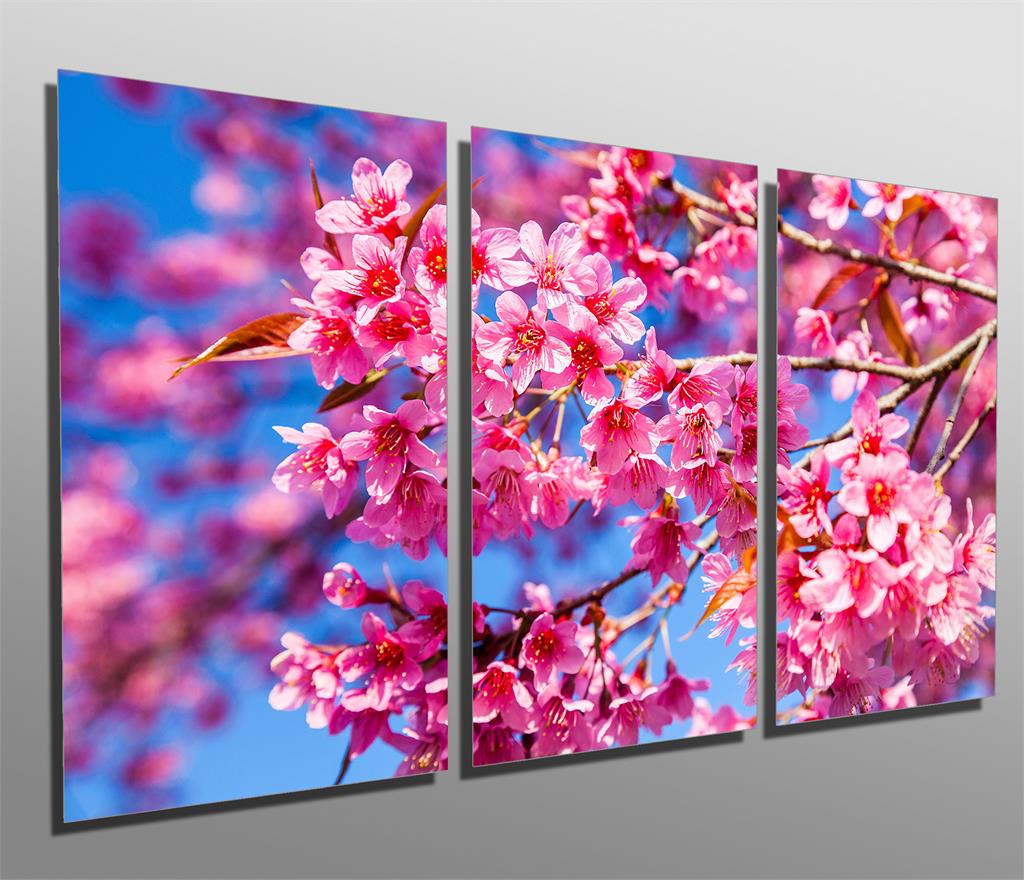Pink Cherry Tree Blossom Metal Print wall art. 3 Panel split