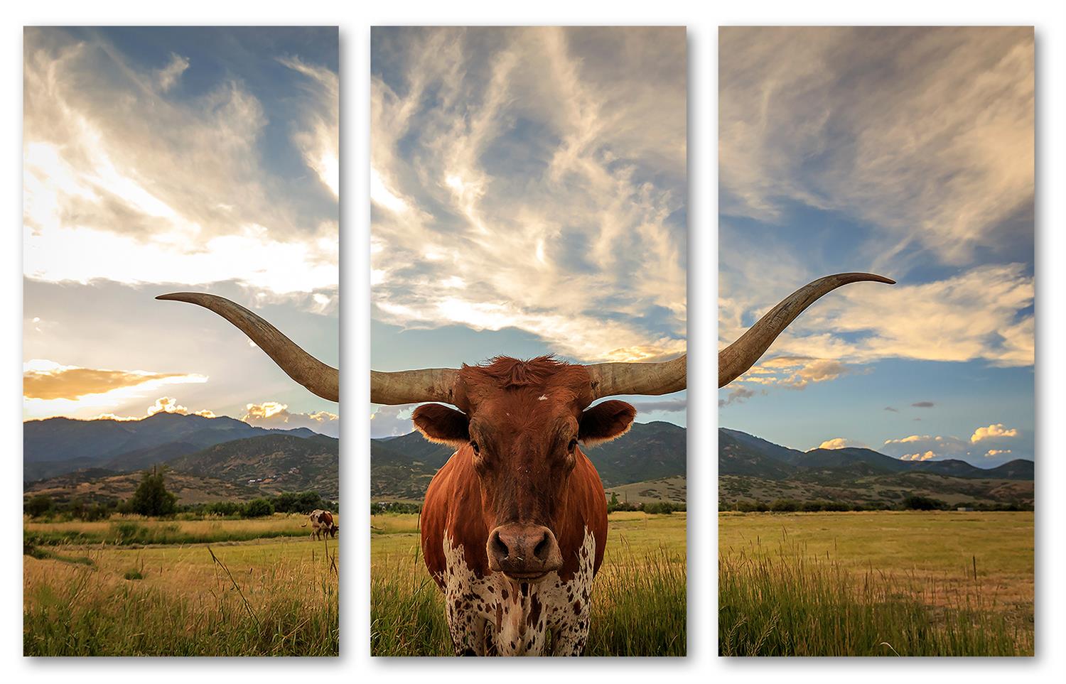 Texas Longhorn Canvas Print Wall Art. 3 Panel Split, Triptych Animal Canvas Quest