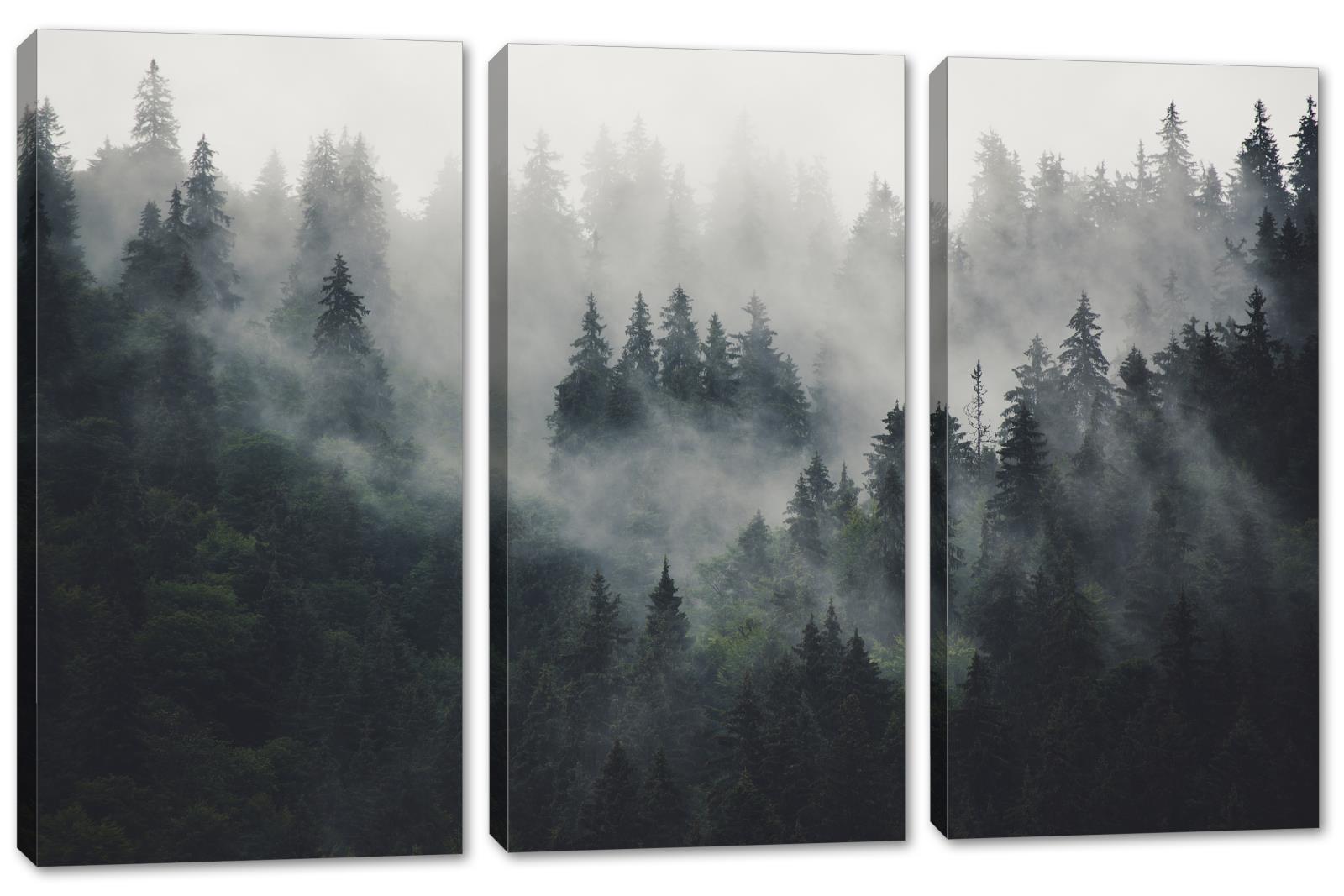 Foggy Forest Canvas Print Wall Art 3 Panel Split Misty Mountain Spruce Canvas Quest